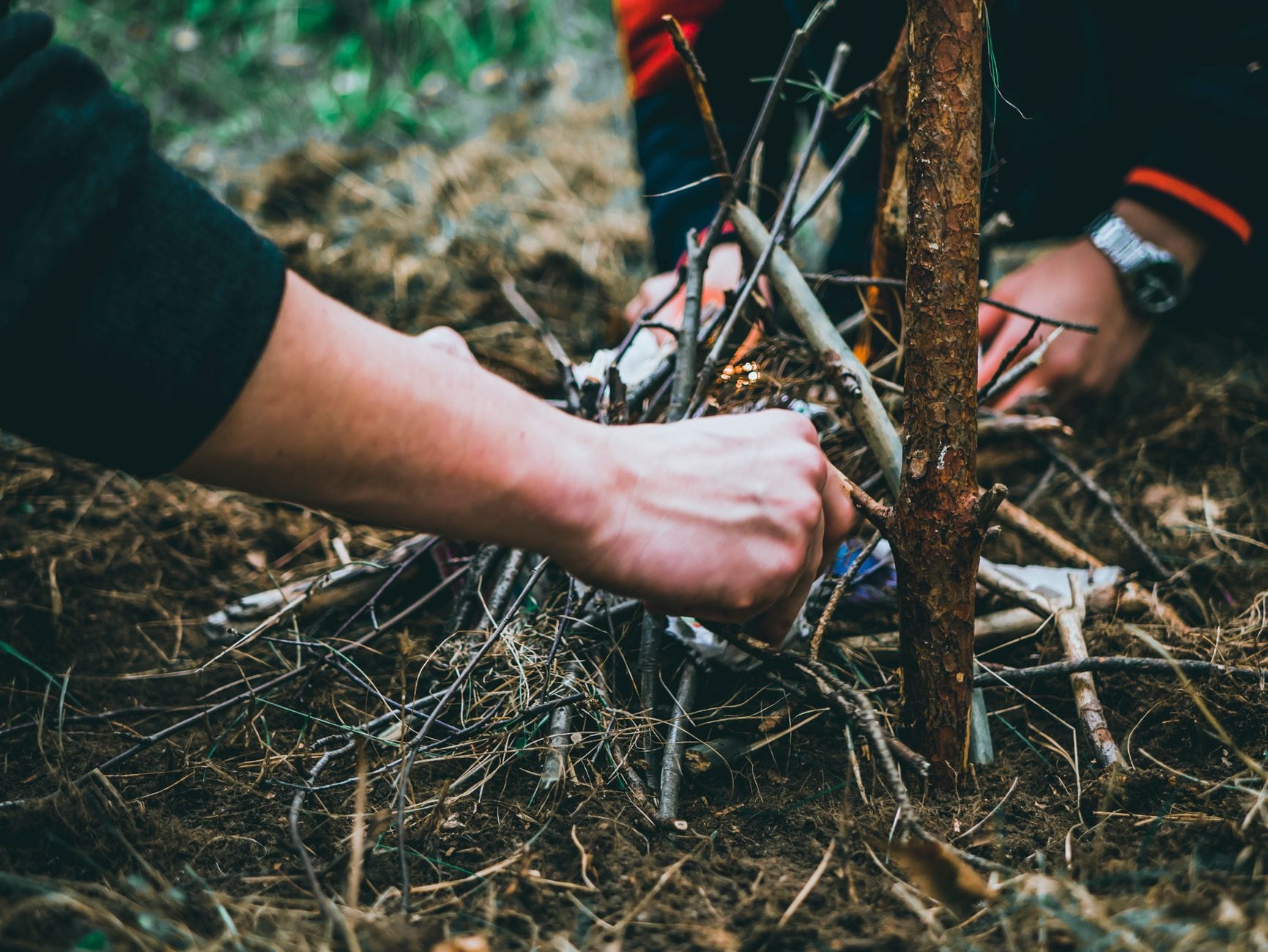 Dłonie układają patyki na ognisko w lesie podczas miejskiego bushcraftu